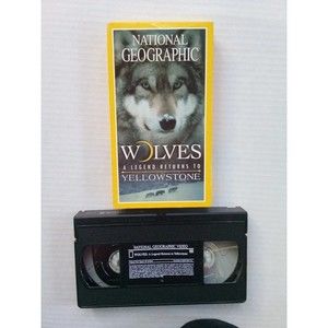 National Geographic - Wolves: A Legend Returns to Yellowstone (VHS, 2000)